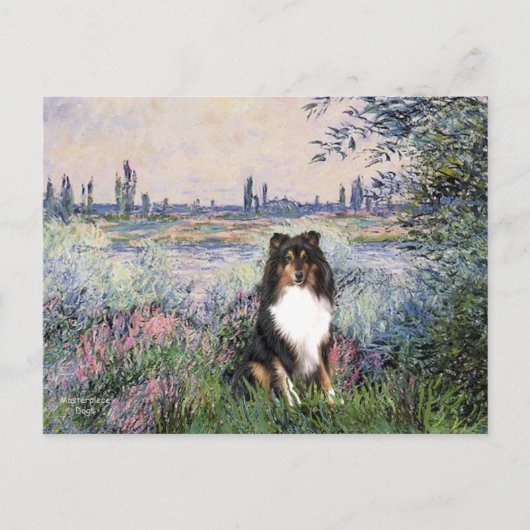 Shetland Sheepdog (Tri) - Aan de Seine Briefkaart (Voorkant)