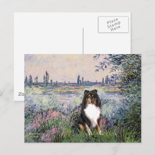 Shetland Sheepdog (Tri) - Door de zegen Briefkaart (Voorkant / Achterkant)