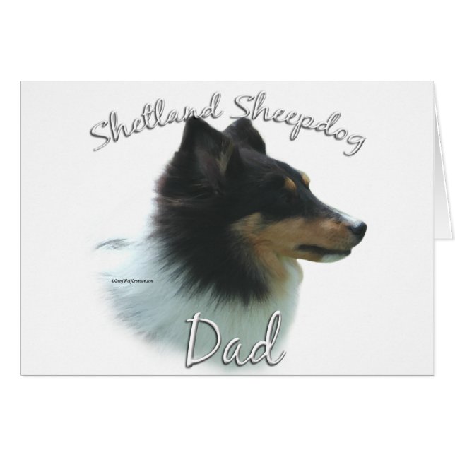Shetland Sheepdog (tri) Papa 2 (Voorkant Horizontaal)