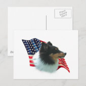 Shetland Sheepdog (tri) Vlag Briefkaart (Voorkant / Achterkant)