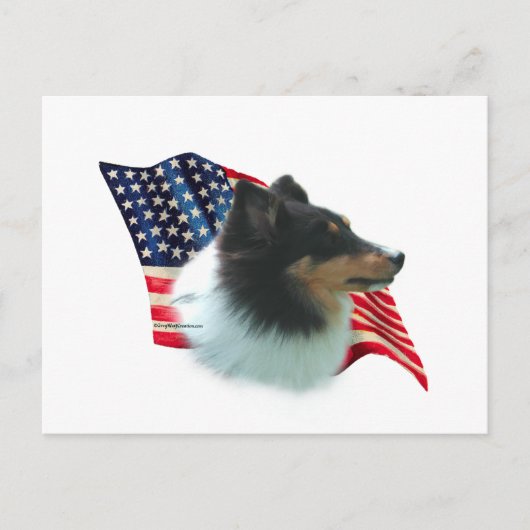 Shetland Sheepdog (tri) Vlag Briefkaart (Voorkant)