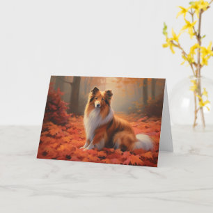 Shetland Sheepdog tussen Herfstbladeren Vallen Ins Kaart