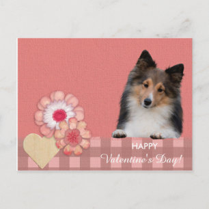 Shetland Sheepdog Valentijnsdag briefkaart