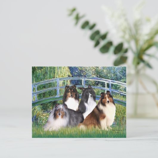 Shetland Sheepdog (vier) - Bridge Briefkaart (Staand voorkant)