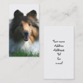 Shetland Sheepdog visitekaartjes (Voorkant / Achterkant)