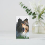 Shetland Sheepdog visitekaartjes (Staand voorkant)