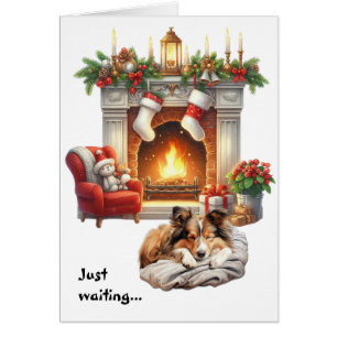 Shetland Sheepdog Wacht op Kerstmis