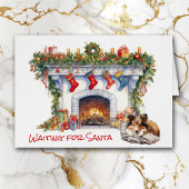 Shetland Sheepdog Wachten op de Kerstman