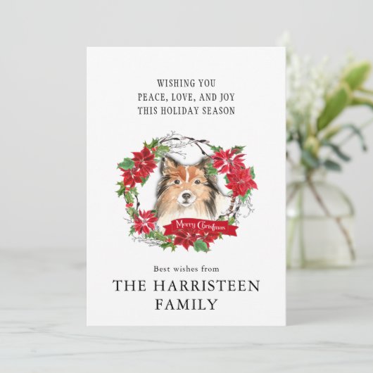 Shetland Sheepdog Waterverf Poinsettia Kerstmis Feestdagenkaart (Staand voorkant)