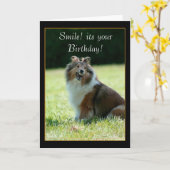 Shetland Sheepdog wenskaart Kaart (Gele Bloem)