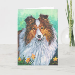 Shetland Sheepdog Wenskaarten Kaart