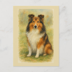 Shetland Sheepdog Zittende Aquarel Briefkaart