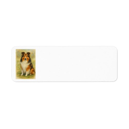 Shetland Sheepdog Zittende Aquarel Etiket (Voorkant)