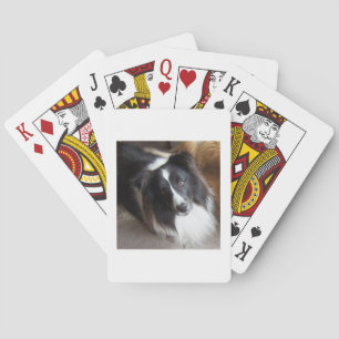 Shetland Sheepdog Zwart en Wit Pokerkaarten