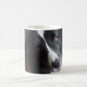 shetland sheepdog zwart - wit koffiemok (Center)