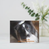 shetland sheepdog zwarte en witte liefde met pic briefkaart (Staand voorkant)