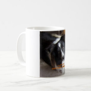 shetland sheepdog zwarte en witte liefde met pic koffiemok