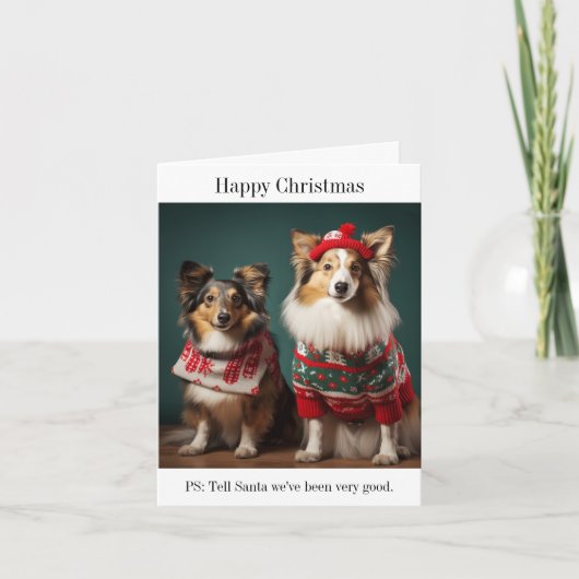 Shetland Sheepdogs Happy Christmas Kaart (Voorkant)