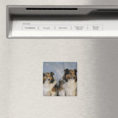 Shetland Sheepdogs Magneet (Insitu (Vaatwasser))