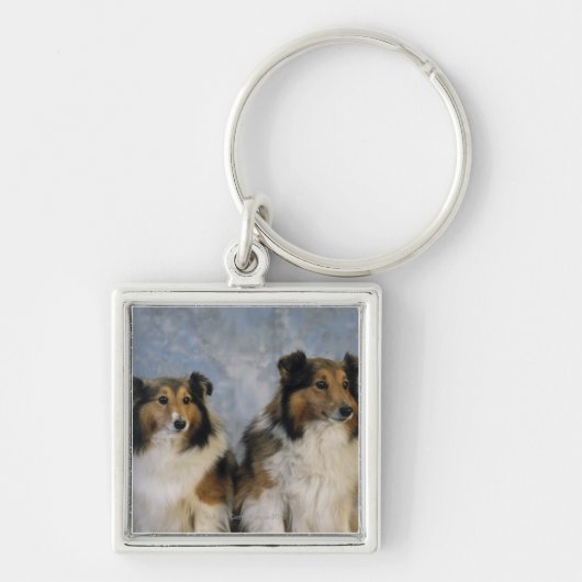 Shetland Sheepdogs Sleutelhanger (Voorkant)