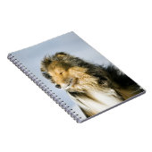 Shetland Shepardshond Notitieboek (Rechterzijde)