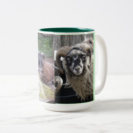 SHETLAND TUPS COFFEE, CACA-MOK TWEEKLEURIGE KOFFIEMOK (Voorkant rechts)