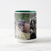 SHETLAND TUPS COFFEE, CACA-MOK TWEEKLEURIGE KOFFIEMOK (Center)