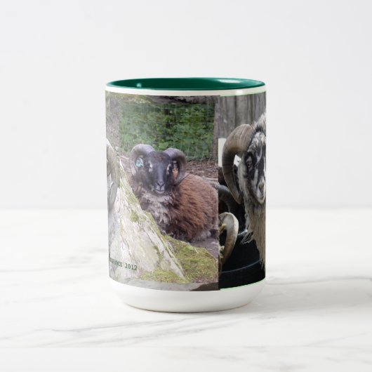 SHETLAND TUPS COFFEE, CACA-MOK TWEEKLEURIGE KOFFIEMOK (Center)