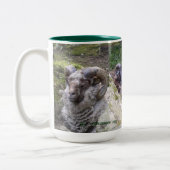 SHETLAND TUPS COFFEE, CACA-MOK TWEEKLEURIGE KOFFIEMOK (Links)