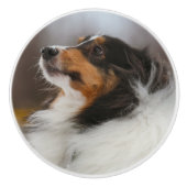 Shetlander Keramische Knop (Voorkant)