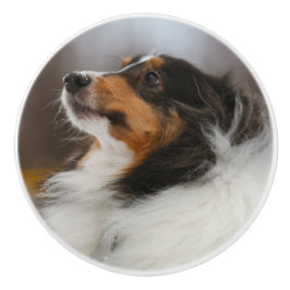 Shetlander Keramische Knop