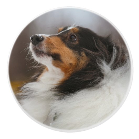 Shetlander Keramische Knop (Voorkant)