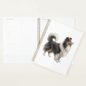 Shetlander Planner (Display)