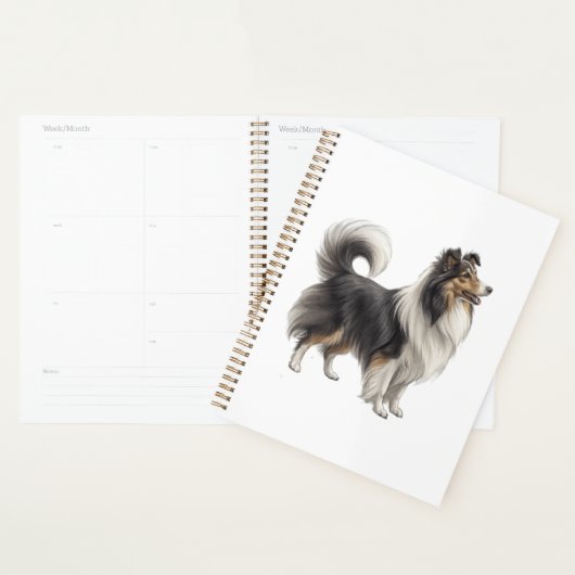 Shetlander Planner (Display)