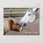 Shetlandpony en Highlandpony Briefkaart (Voorkant)