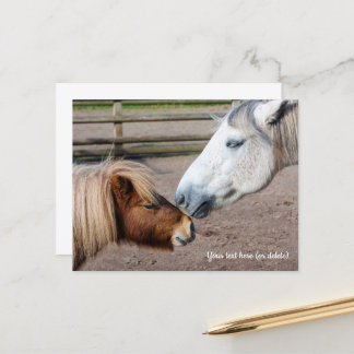 Shetlandpony en Highlandpony Briefkaart
