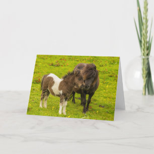 Shetlandpony moeder en nakomeling kaart
