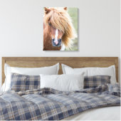 Shetlandpony op het eiland Unst Canvas Afdruk (Insitu (Slaapkamer))