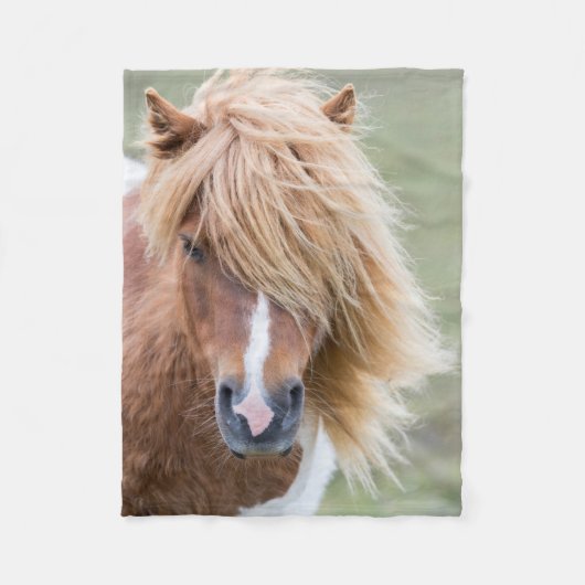 Shetlandpony op het eiland Unst Fleece Deken (Voorkant)