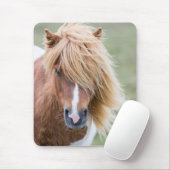 Shetlandpony op het eiland Unst Muismat (Met muis)