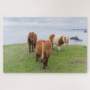 Shetlandpony op Weiland Nabij Hoge Kliffen Legpuzzel