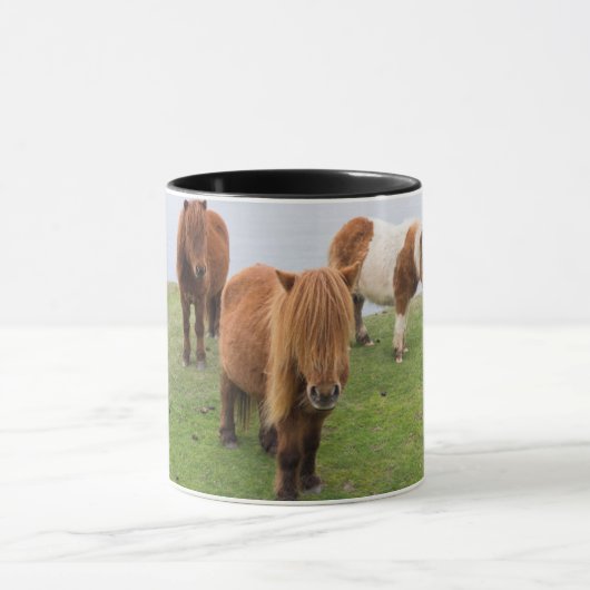 Shetlandpony op weiland nabij hoge kliffen mok (Midden)