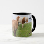 Shetlandpony op weiland nabij hoge kliffen mok (Voorkant rechts)