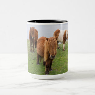Shetlandpony op weiland nabij hoge kliffen mok