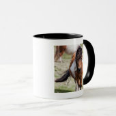 Shetlandpony, Shetlandeilanden Mok (Voorkant rechts)