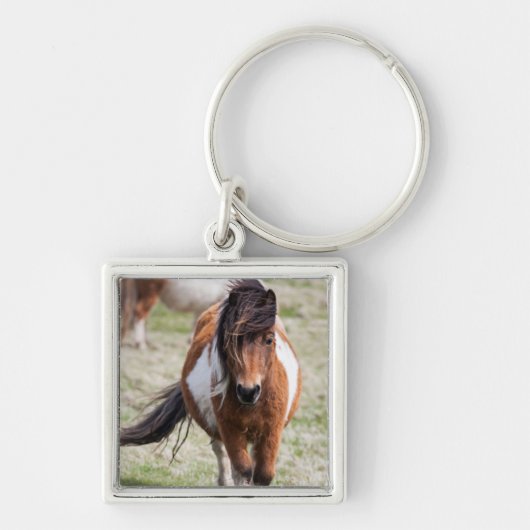Shetlandpony, Shetlandeilanden Sleutelhanger (Voorkant)