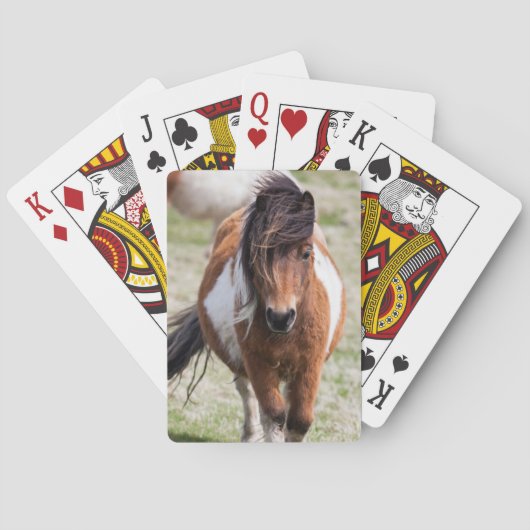 Shetlandpony, Shetlandeilanden Speelkaarten (Achterkant)