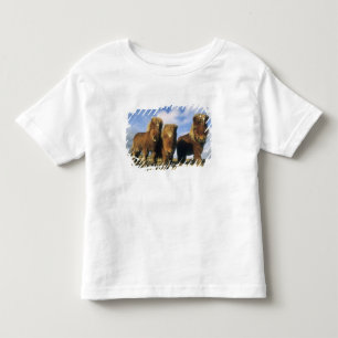Shetlandpony, vasteland Shetland-eilanden, Kinder Shirts