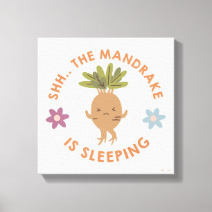 Shh.. De Mandrake slaapt Canvas Afdruk