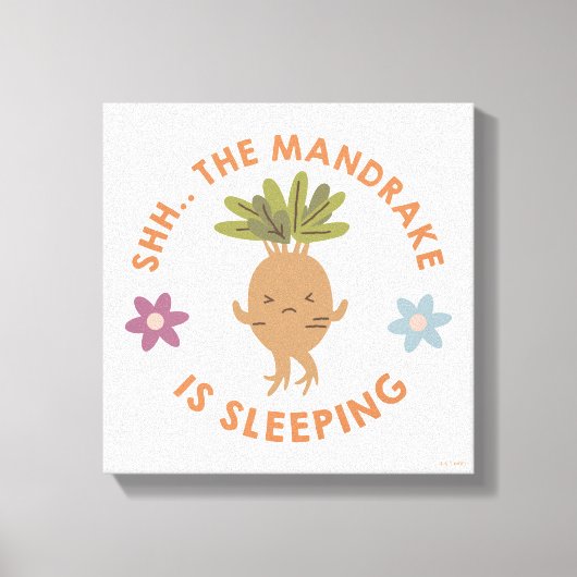 Shh.. De Mandrake slaapt Canvas Afdruk (Voorkant)